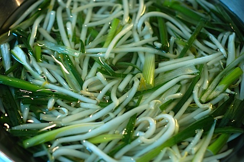 200902251825.jpg