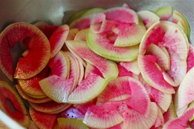 watermelonradish1 watermelonradish1